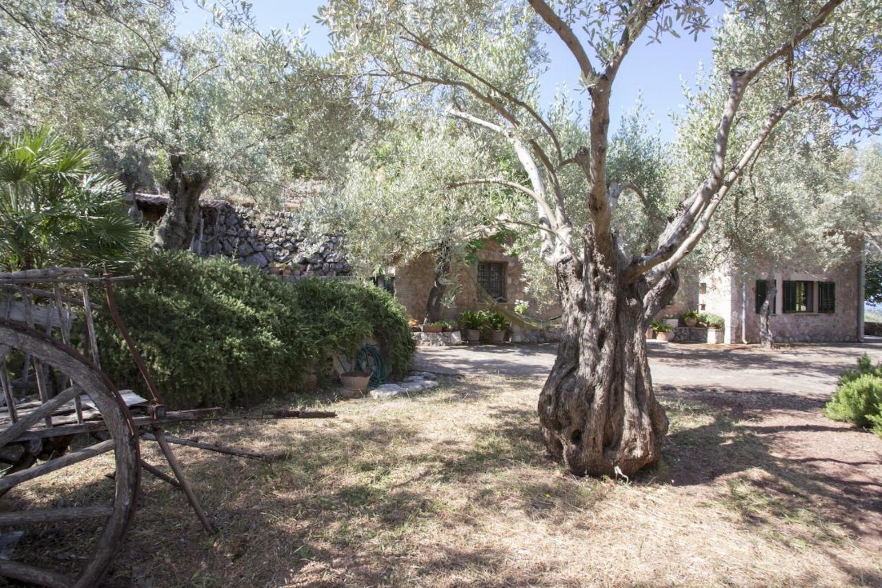Puerto de Sóller Villa Es Coco, Soller מראה חיצוני תמונה