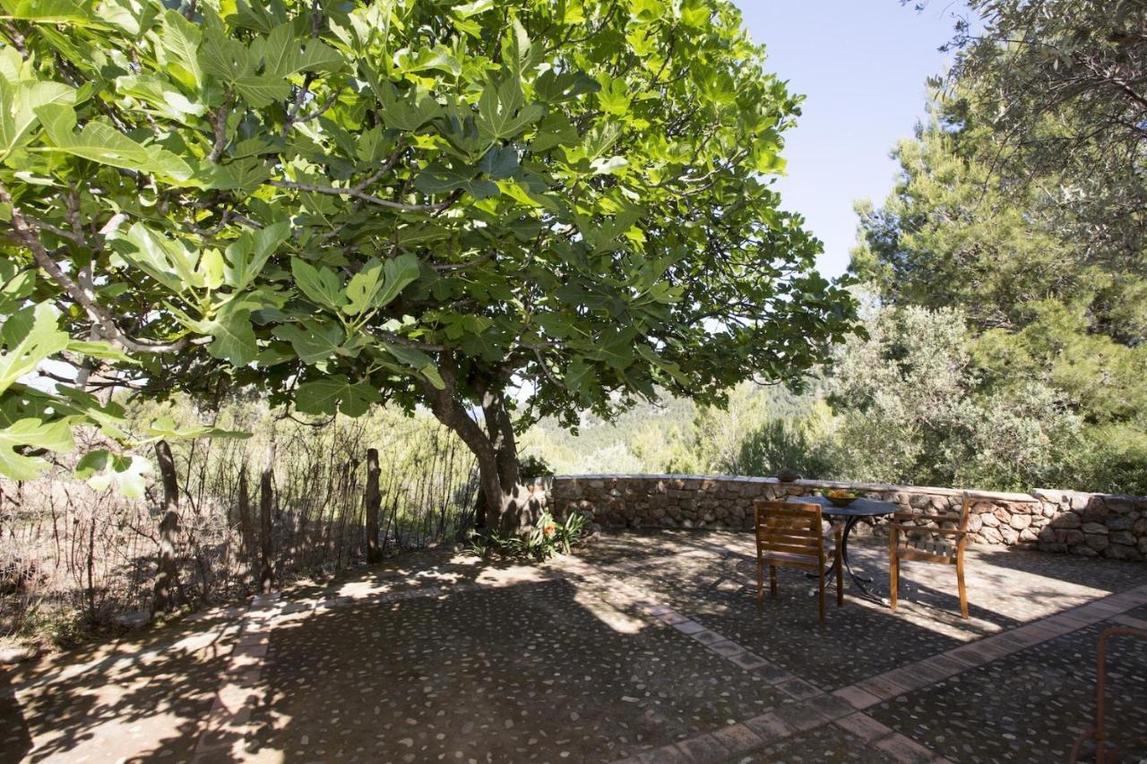 Puerto de Sóller Villa Es Coco, Soller מראה חיצוני תמונה