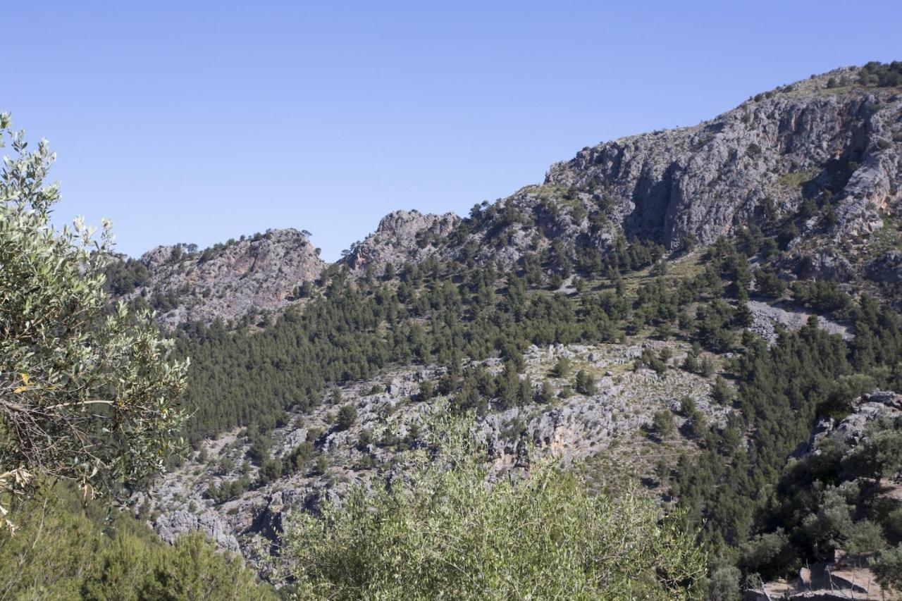 Puerto de Sóller Villa Es Coco, Soller מראה חיצוני תמונה